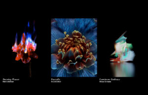 LG Gallery 3Art BlackBG