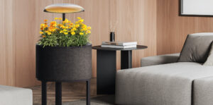 Lg Indoor Gardening 2