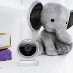 Logi Circle_Elephant low