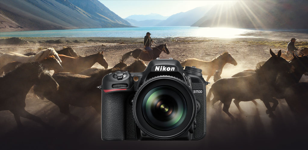 Nikon D7500: Επαγγελματικές δυνατότητες σε… καλοκαιρινό σώμα!