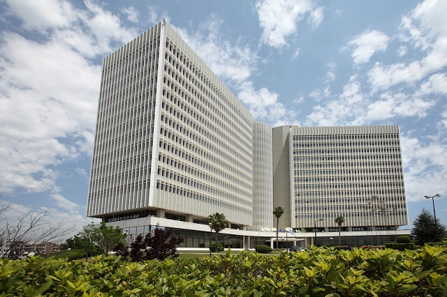 Στην τελική ευθεία για κοινό brand OTE και COSMOTE