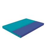 ProtectiveCase10.6_Teal_closed low