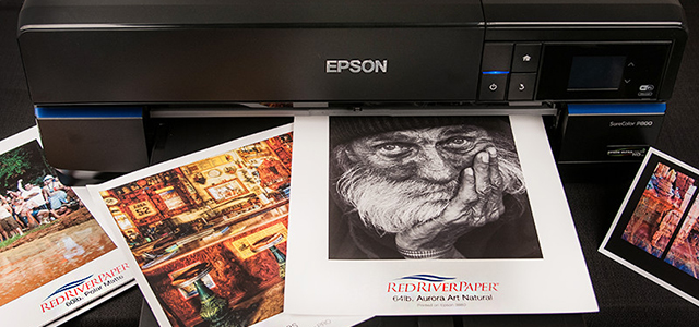 Epson SC–P800